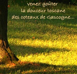 se r&eacute;unir &agrave; agen